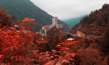 Kayseri Çıkışlı Doğu Karadeniz Esintisi Turu