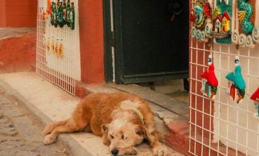 Kayseri Çıkışlı Kuzey Ege Turu