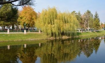 Kayseri Çıkışlı Günübirlik Eskişehir Turu