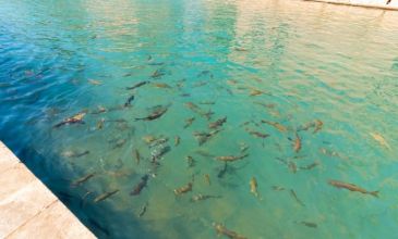 Kayseri Çıkışlı Günübirlik Şanlıurfa Turu