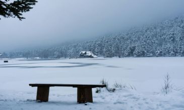 Kayseri Çıkışlı Günübirlik Yedigöller & Abant Turu  