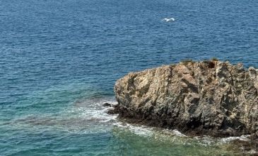 Aksaray Çıkışlı İzmir (Şirin Ege) Turu