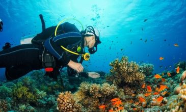 Konya Çıkışlı Fethiye (Likya) Turu