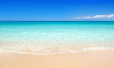 Konya Çıkışlı Kuzey Ege Turu