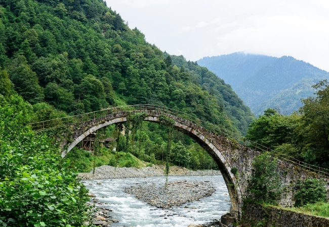 Kayseri Çıkışlı Karadeniz Yayla Rüyası Ve Batum Turu