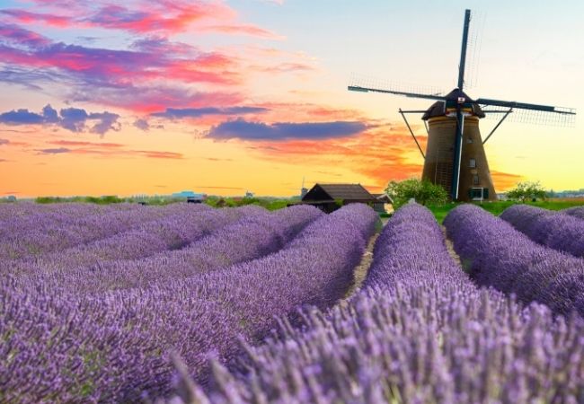 Kayseri Çıkışlı Günübirlik Lavanta Hasadı Ve Göller Turu